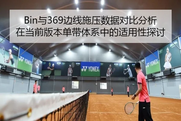 Bin与369边线施压数据对比分析在当前版本单带体系中的适用性探讨
